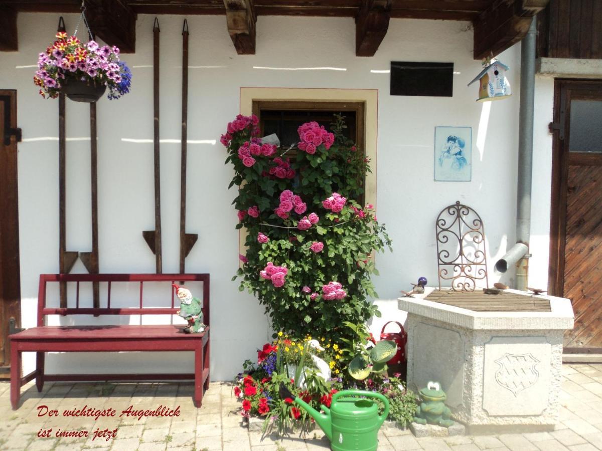 Schellenberger Hof Ξενοδοχείο Soyen Εξωτερικό φωτογραφία